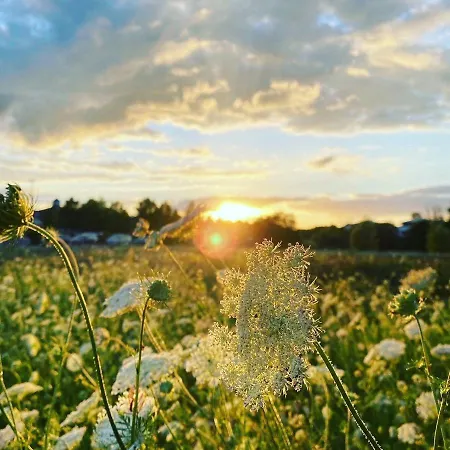 Luxus Ferien Vivaldi Vakantiehuis *