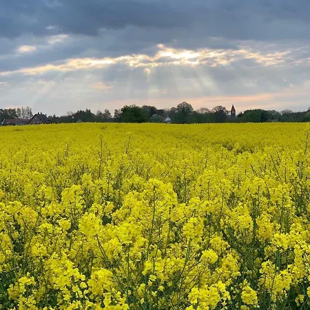 Vakantiehuis Luxus Ferien Vivaldi